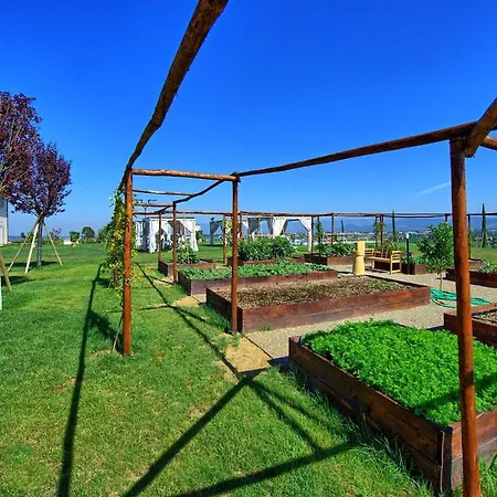 Il Sole Di Vino By Posarellivillas *