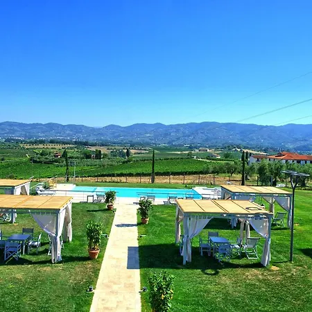 Il Sole Di Vino By Posarellivillas Vinci